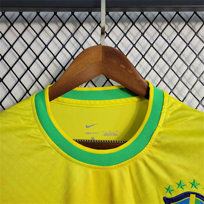 KIT PIGEON JAUNE DU BRÉSIL