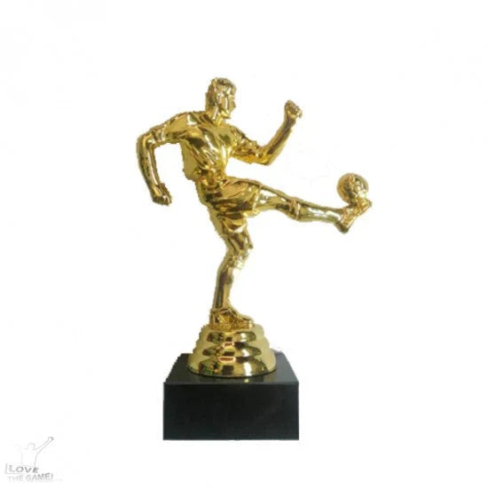 Championship trophy